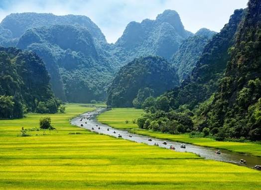 Rowing boats winding through the karsts and rice fields of Ninh Binh